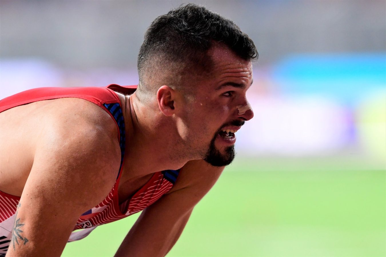 71399552_2427385554017737_6609328694240477184_o