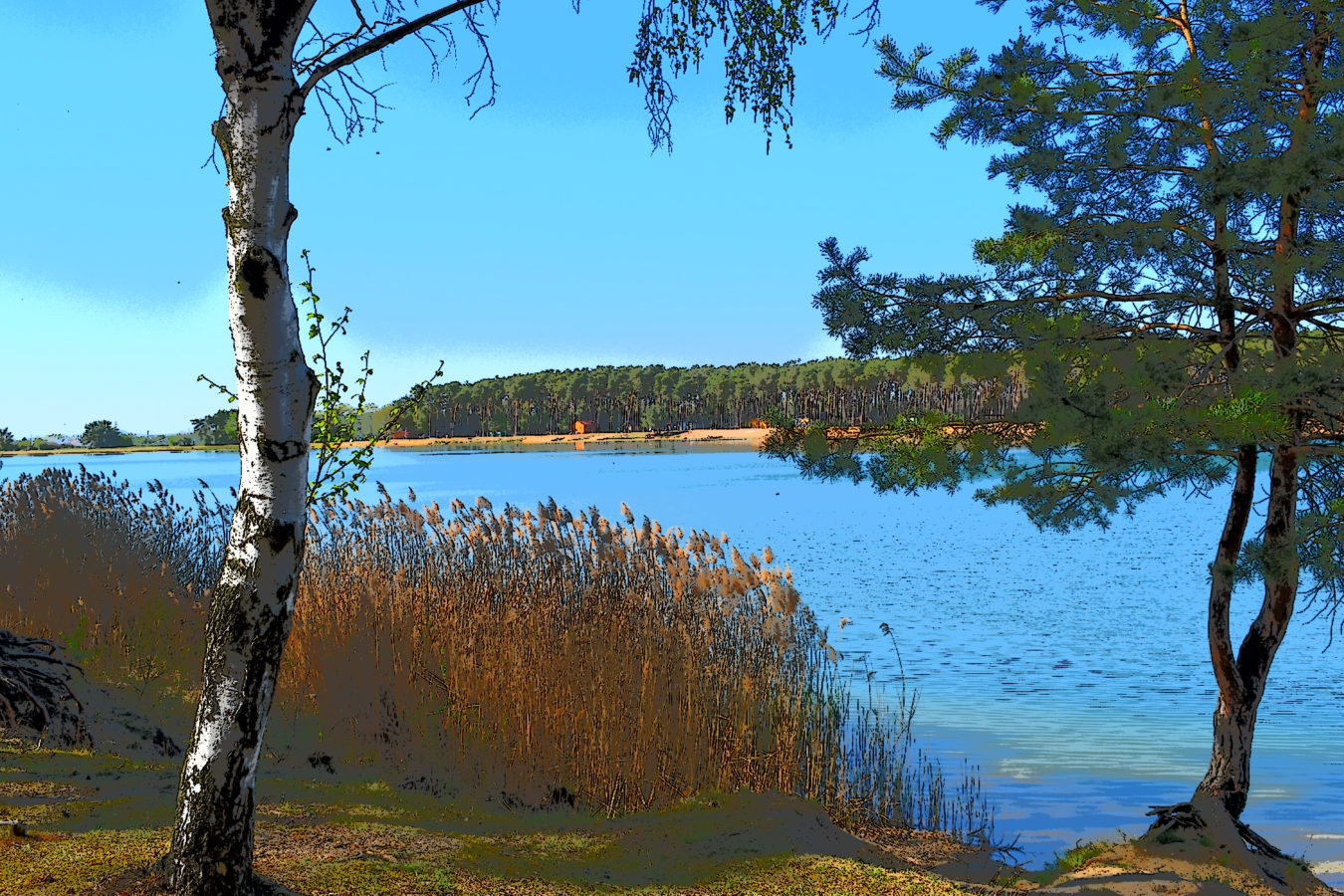 Jezero Lhota duben 2019