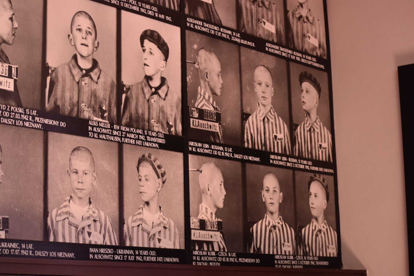 Osvětim – Auschwitz a Březinka- Birkenau