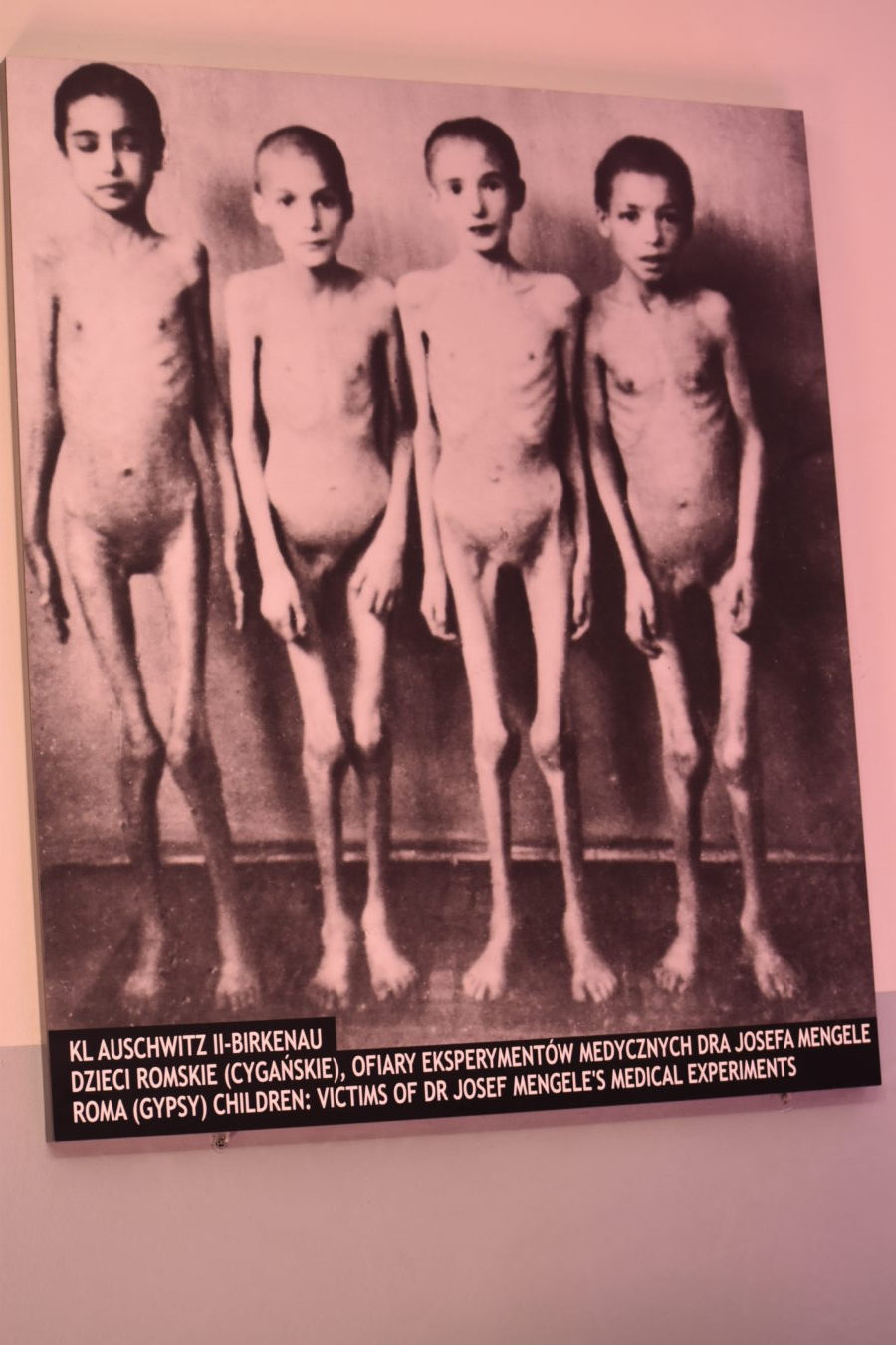 Osvětim – Auschwitz a Březinka- Birkenau