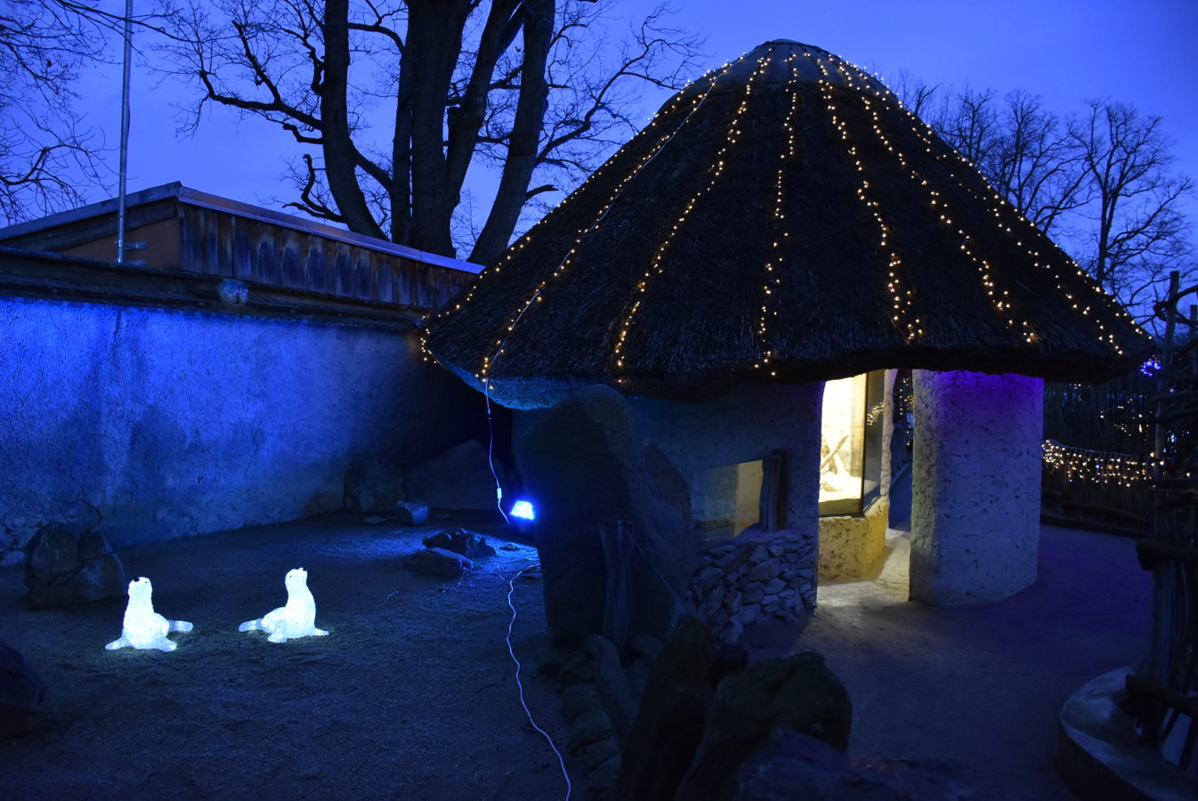 Peugeot-Rifter-Hluboka-522