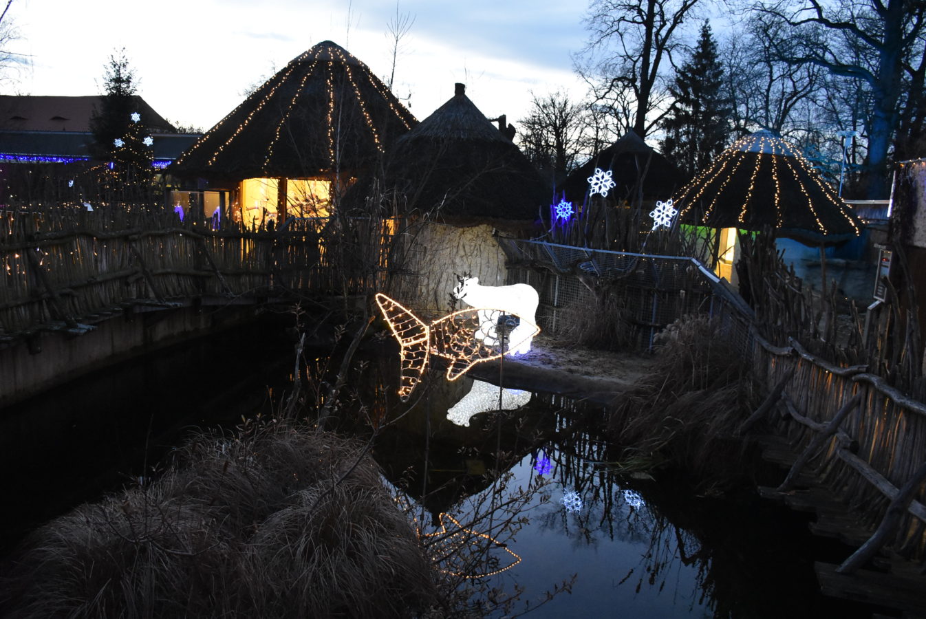 Peugeot-Rifter-Hluboka-531