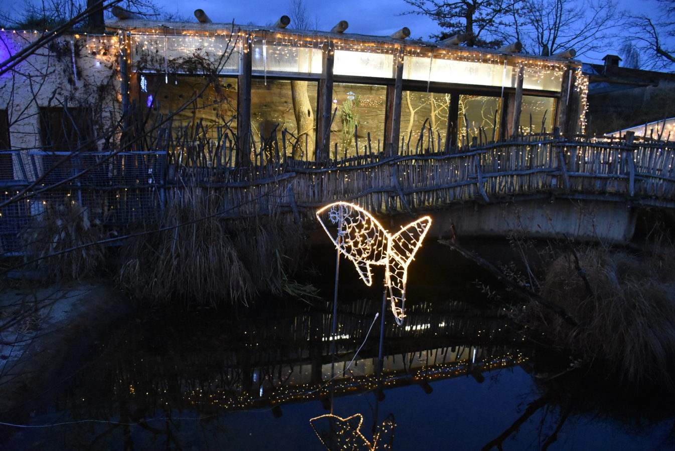 Peugeot-Rifter-Hluboka-540