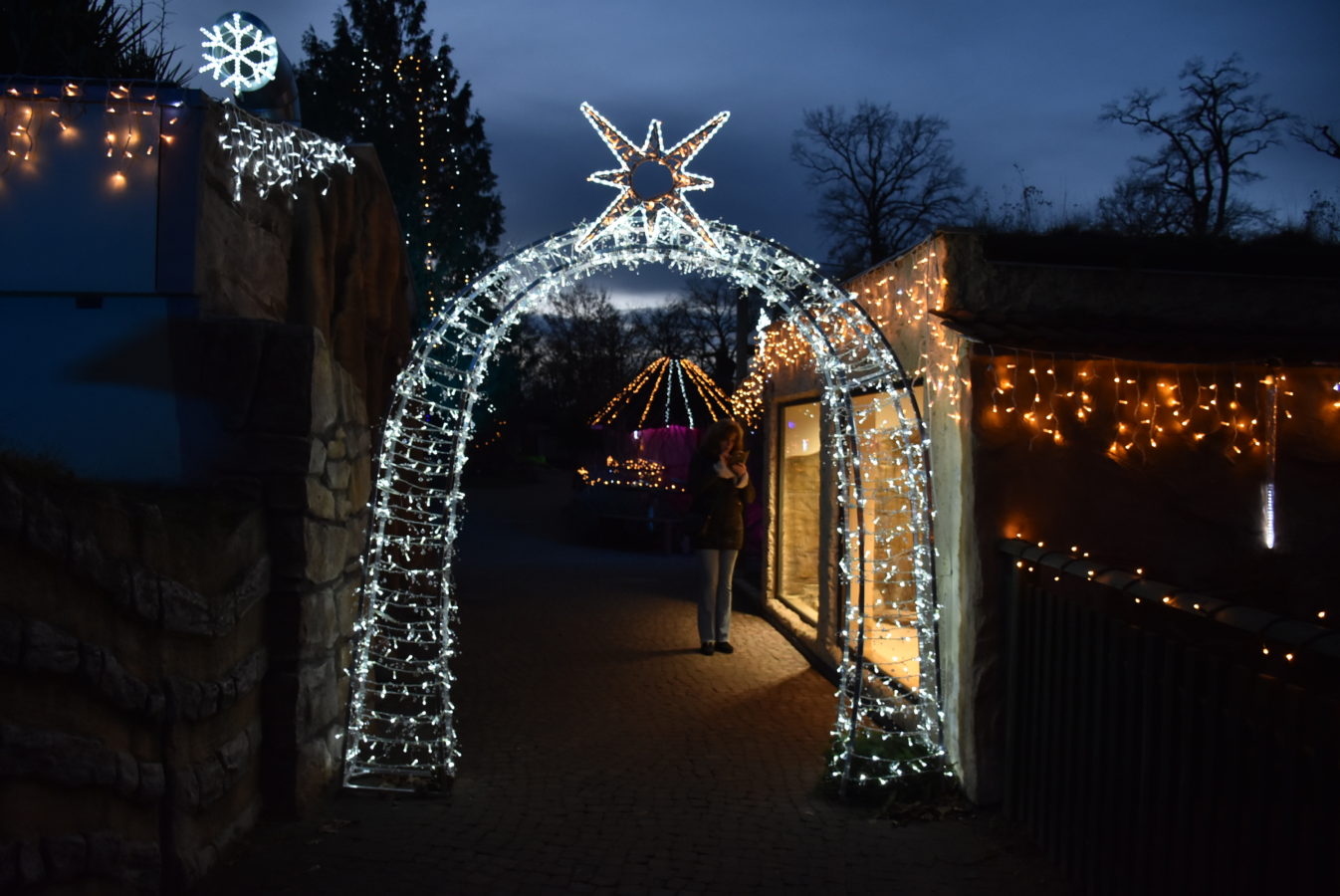 Peugeot-Rifter-Hluboka-553