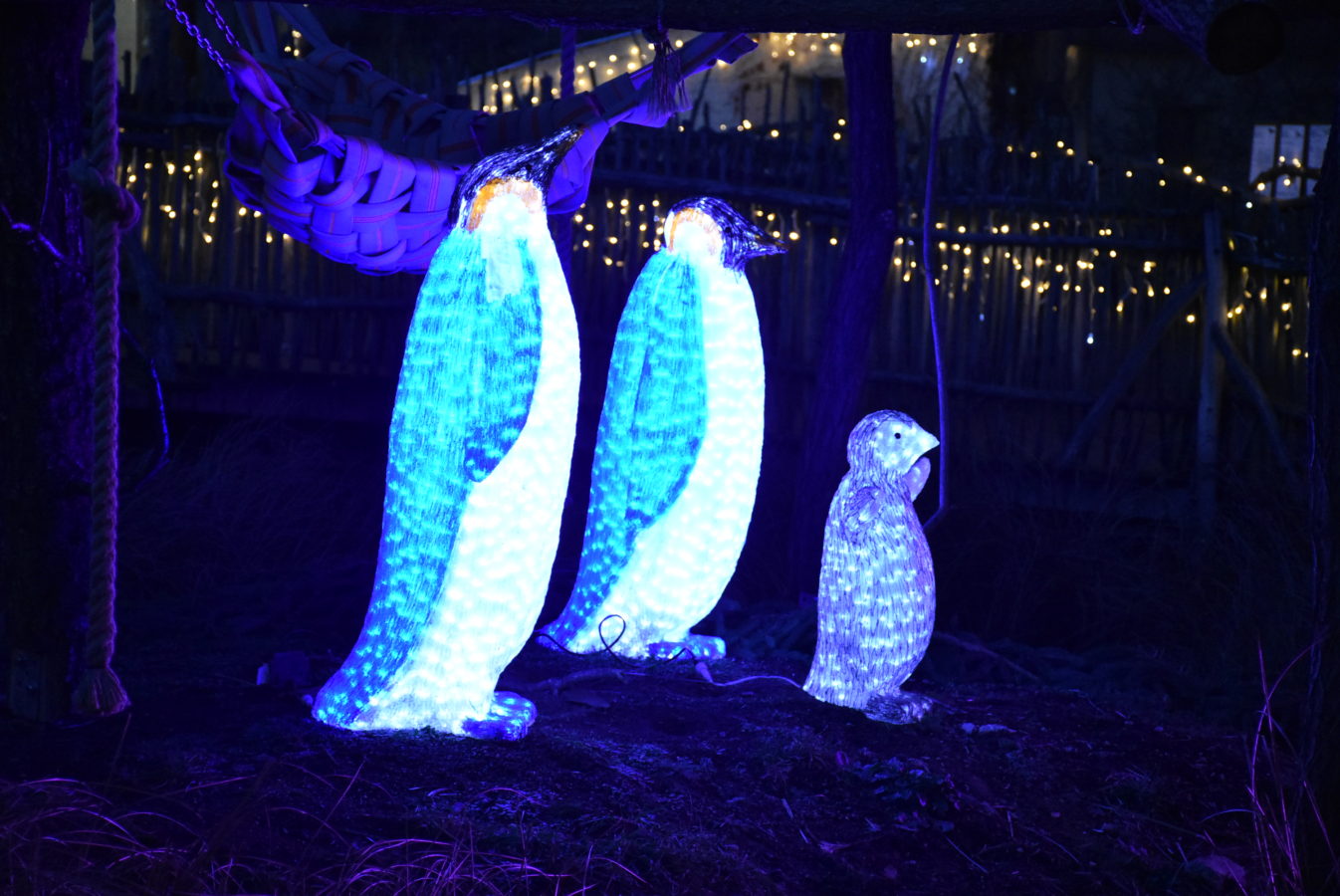 Peugeot-Rifter-Hluboka-560