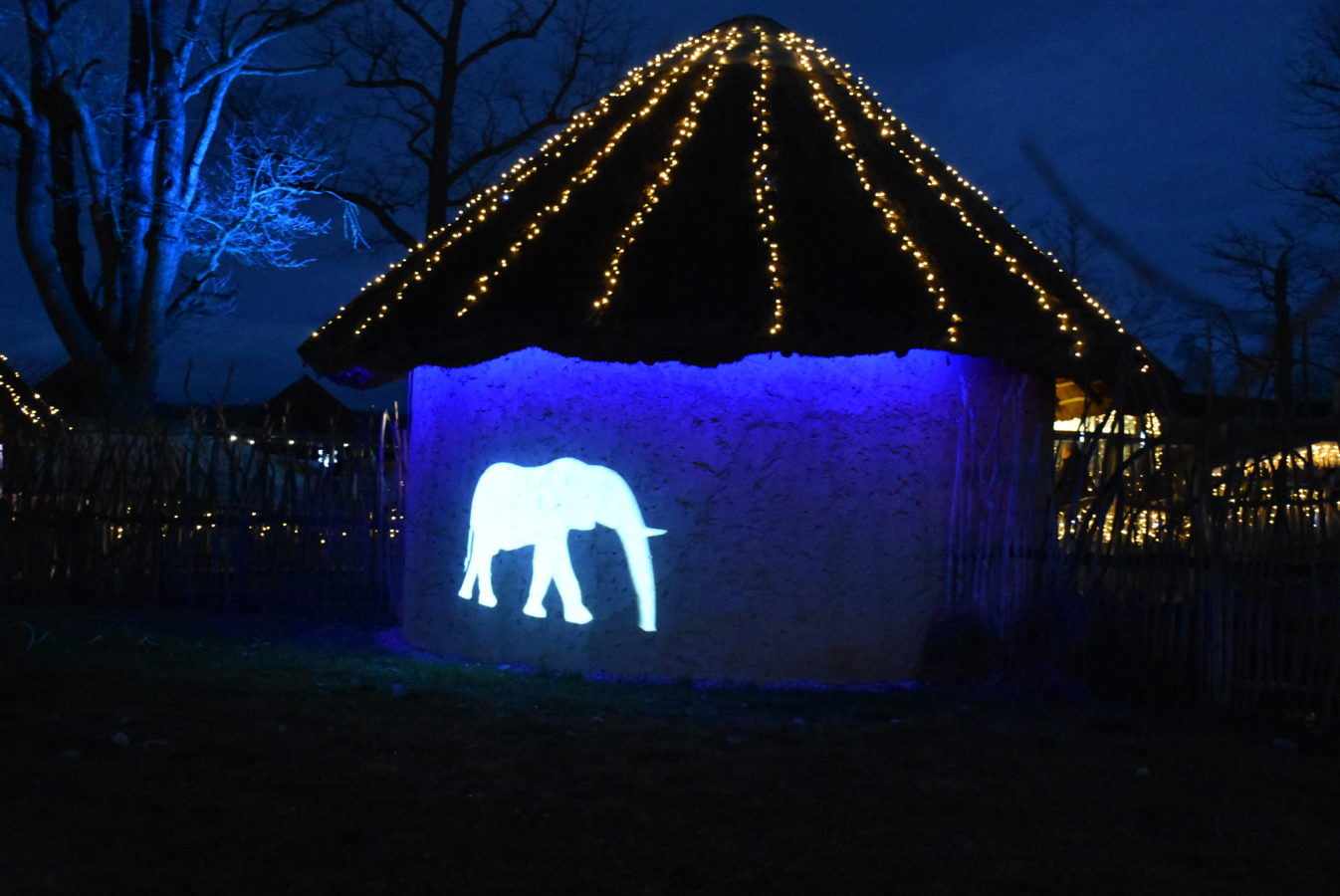 Peugeot-Rifter-Hluboka-573