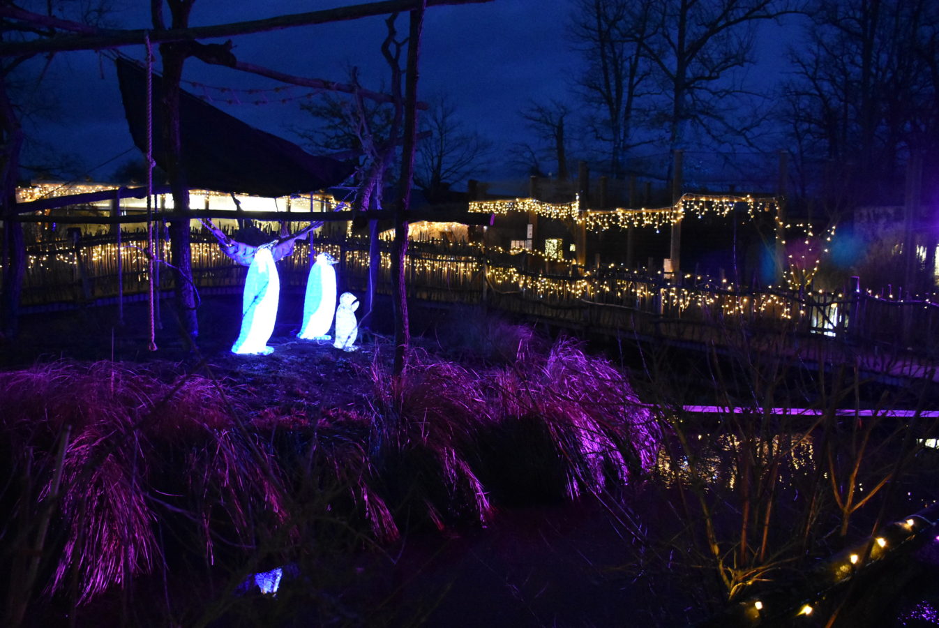 Peugeot-Rifter-Hluboka-574